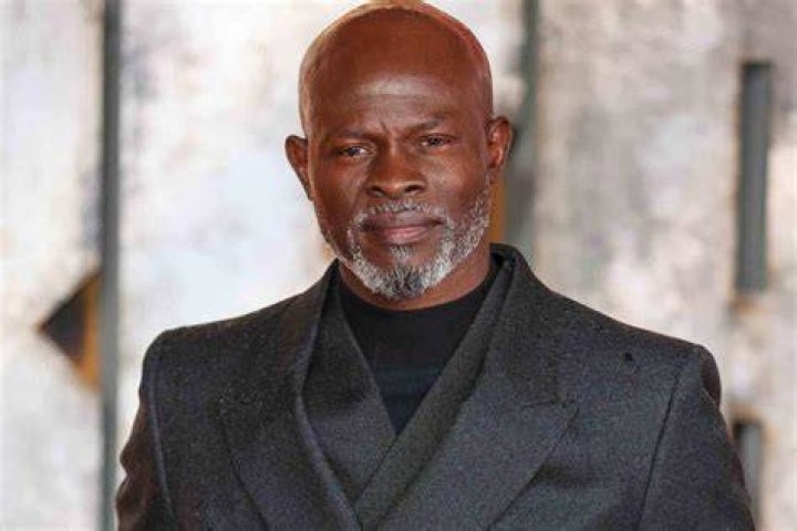Djimon Hounsou Net Worth OtakuKart