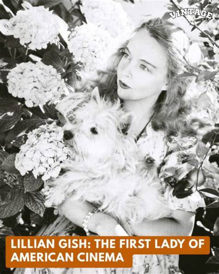 Meet The Extraordinary Lillian Waxlax: An Inspiring Figure