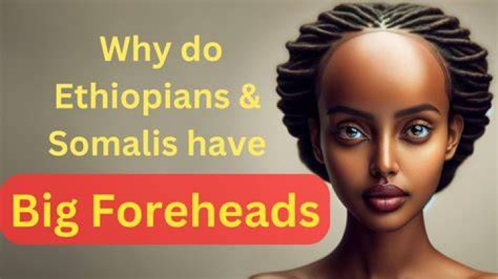 The Ultimate Guide To The Longest Foreheads: Origins, Measurement, And More